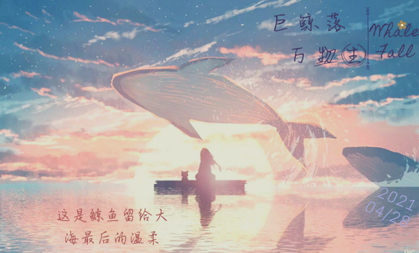 384858737d3b487ea3ab6d61bef7845a.png 图片6.png